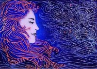 Stargazer 14